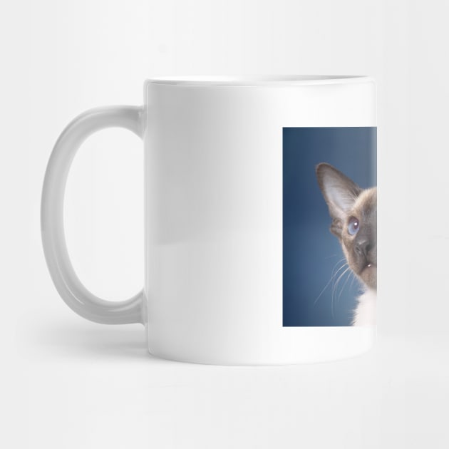 Siamese cat by kawaii_shop